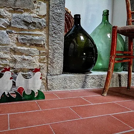Az. Agr. Il Paradiso Di Beatrice Bondielli Apartment